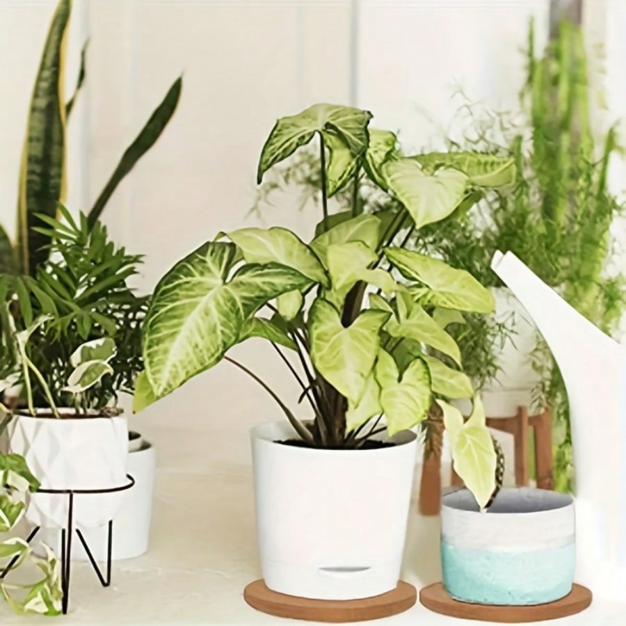 1pc Thick Round Soft Cork Triv - Home Cooking Dishes ulasan dan harga