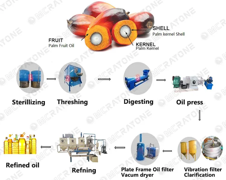 Palm Oil Extraction Machine Co - Home Cooking Oil Making Machine ulasan dan harga